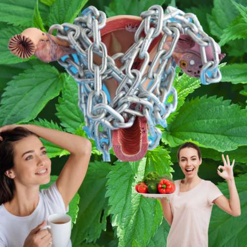Myome: Ursachen, Symptome & ganzheitliche Behandlungsmöglichkeiten