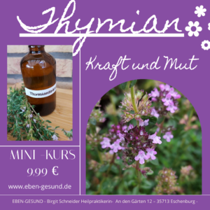 Thymian-Minikurs