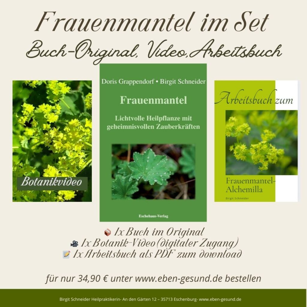 Frauenmantelbuch-Set: Originalbuch, Botanik Video, Arbeitsbuch PDF Download