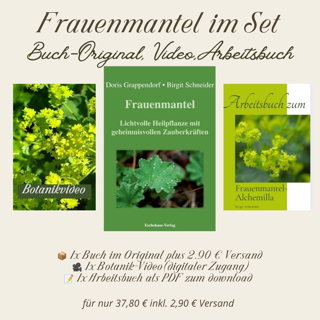 Frauenmantelbuch-Set: Originalbuch, Botanik Video, Arbeitsbuch PDF Download