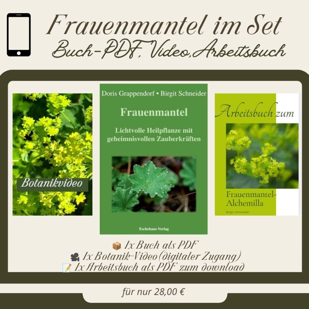 Frauenmantelbuch-Set: Frauenmantelbuch als PDF, Botanik Video, Arbeitsbuch PDF Download
