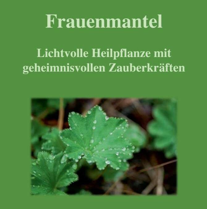 Endometriose: Ganzheitliche Ansätze zur Linderung der Symptome